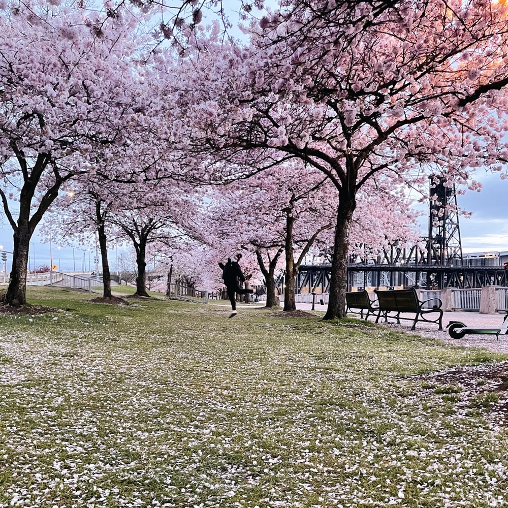 Meet your Posher, Sara